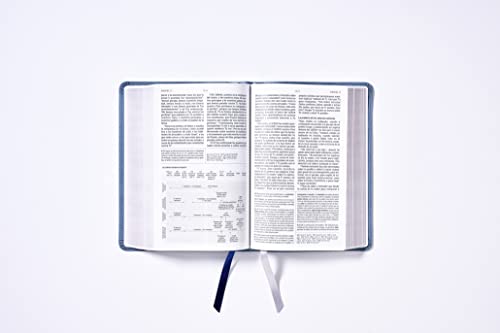 NBLA, Biblia de Estudio, Interior a dos colores, Leathersoft, Gris, Comfort Print