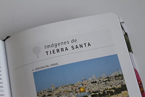 Biblia RVR 1960 letra grande, tela azul con flores tamaño manual (Tapa dura)