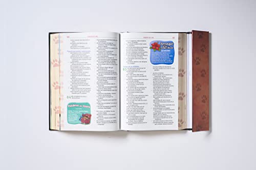 Nbla Biblia Aventura, Tapa Dura, Interior a Color, Cierre Magnético