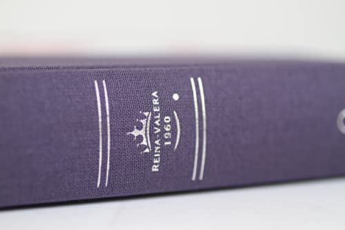 Biblia RVR 1960 letra grande, tela azul con flores tamaño manual (Tapa dura)