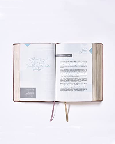 Nbla Biblia AMA a Dios Grandemente, Leathersoft, Oro Rosa, Interior a Cuatro Colores