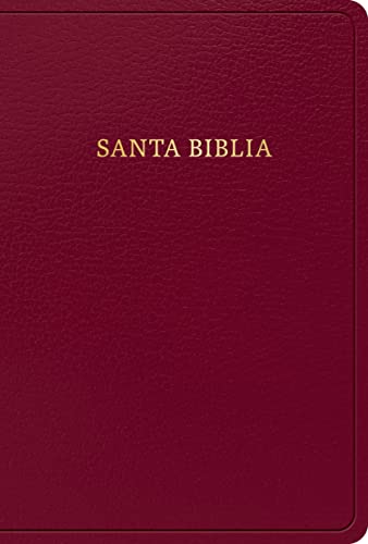 RVR 1960 Biblia letra grande tamaño manual, borgoña, imitación piel (edición 2023)/ RVR 1960 HSGP Bible burgundy imitation leather 2023 edition