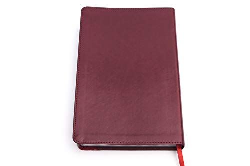 Biblia Reina Valera 1960 de Estudio para mujeres vino tinto-fucsia, símil piel | RVR 1960 Women Study Bible, Burgundy-Fuschia LeatherTouch