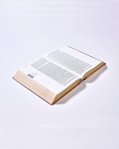 Nbla Biblia AMA a Dios Grandemente, Leathersoft, Oro Rosa, Interior a Cuatro Colores