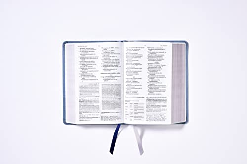 NBLA, Biblia de Estudio, Interior a dos colores, Leathersoft, Gris, Comfort Print