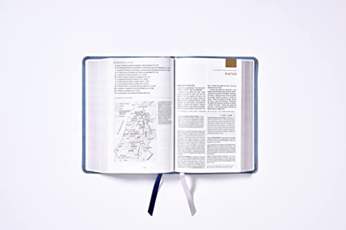 NBLA, Biblia de Estudio, Interior a dos colores, Leathersoft, Gris, Comfort Print