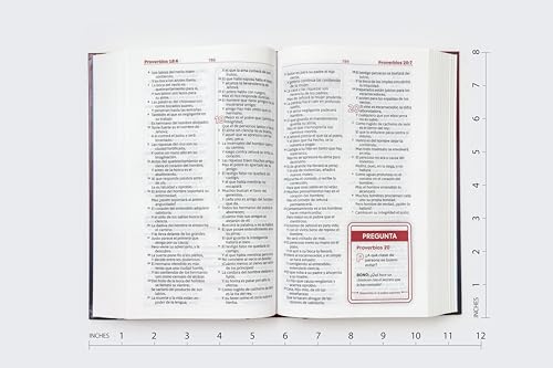 RVR60, Biblia de Estudio para Jóvenes, Tapa Dura, Palabras de Jesús en Rojo, Comfort Print