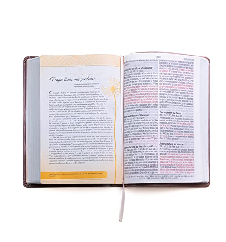 Biblia de promesas Inspira- Oro Rosado - Reina Valera 1960- Letra Grande (Spanish Edition): Edicion Para Mujeres