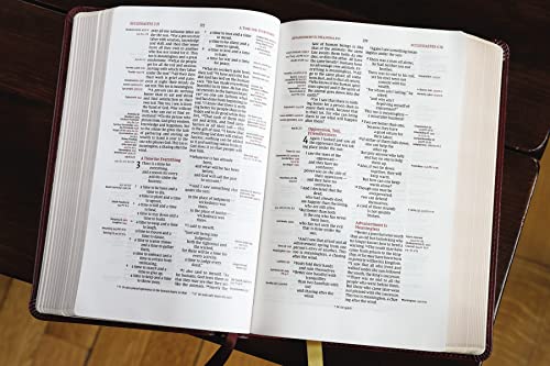 NIV, Thompson Chain-Reference Bible, Handy Size, Leathersoft, Burgundy, Red Letter, Comfort Print