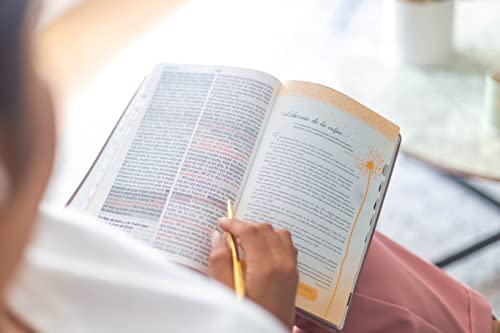 Biblia de promesas Inspira- Oro Rosado - Reina Valera 1960- Letra Grande (Spanish Edition): Edicion Para Mujeres