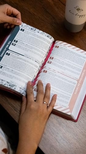 RVR60, Santa Biblia, Mamá Ocupada, Leathersoft, Magenta, Palabras de Jesús en Rojo, Comfort Print: Inspiración diaria aun cuando solo tienes un minuto