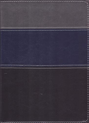 Biblia Thompson - Capa Luxo Azul E Cinza