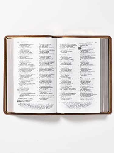 NBLA Biblia Ultrafina, Letra Grande, Colección Premier, Café: Edición Limitada