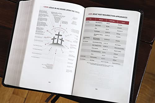 NIV, Thompson Chain-Reference Bible, Handy Size, European Bonded Leather, Black, Red Letter, Comfort Print