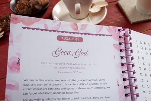 100 Days of Hope for Your Soul: Bible Word Search Devotional