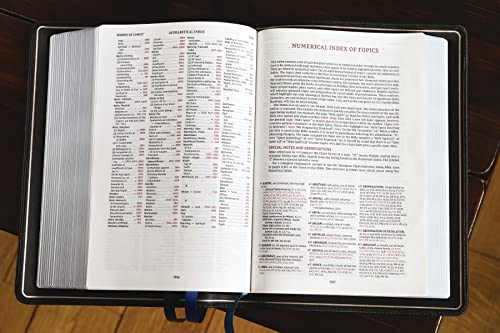 NIV, Thompson Chain-Reference Bible, Premium Goatskin Leather, Black, Premier Collection, Black Letter, Art Gilded Edges, Comfort Print