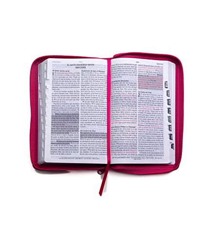 Santa Biblia de Promesas Reina Valera 1960 / Tamaño Manual / Letra Grande / Piel Especial Con Índice Y Cierre / Fucsia // Spanish Promise Bible Rv60 / ... / Leathersoft with Index and Zipper / Fuchsia