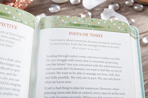 Detox for the Soul: A 365-Day Devotional