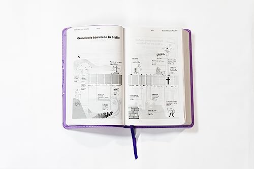 NVI, Biblia para Niños, Revisión 2022, Leathersoft, Lavanda, Comfort Print