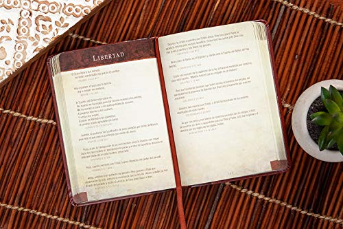Promesas de la Biblia Para La Vida: Un Manual Indispensable Para Cada Una de Sus Necesidades