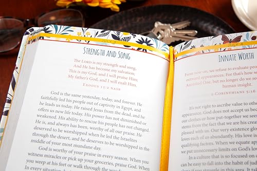 When God Thinks of You He Smiles: 365 Daily Devotions