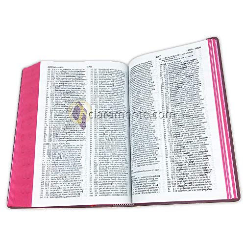 Biblia Letra Grande Concordancia Amplia RV1960, manual tapa vinilo, negro con indice