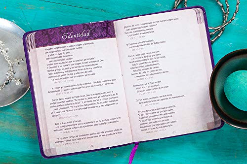 Promesas de la Biblia Para La Vida de la Mujer: Un Manual Indispensable Para Cada Una de Sus Necesidades