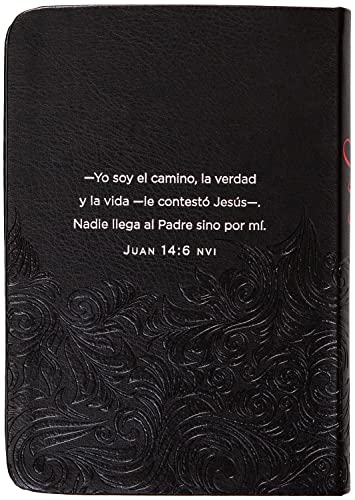 Jesús En Rojo: 365 Meditaciones Sobre Las Palabras de Jesús
