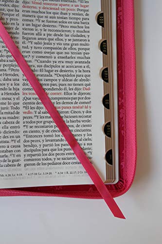 Biblia Reina Valera 1960 letra grande. Símil piel Fucsia, cremallera, indice, tamaño manual