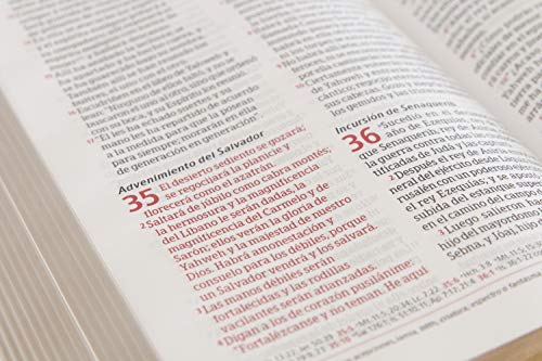 Biblia Peshitta. Símil piel, caoba duotono / Peshitta Bible. LeatherTouch, Mahogany DuoTone: Revisada Y Aumentada