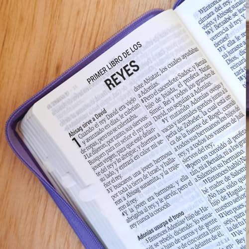 Biblia RVR60 - tamaño compacto con índice en la orilla y zipper, semi piel, negro
