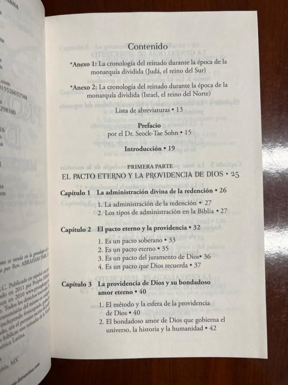 Serie Historia de la Redención Vol. 4 - La Providencia de Dios: Misteriosa Y Profunda