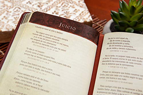 Promesas de la Biblia Para La Vida: Un Manual Indispensable Para Cada Una de Sus Necesidades