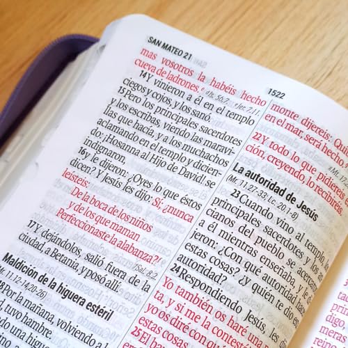 Biblia RVR60 - tamaño compacto con índice en la orilla y zipper, semi piel, negro
