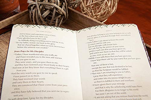 The Story of Jesus and His Love for You