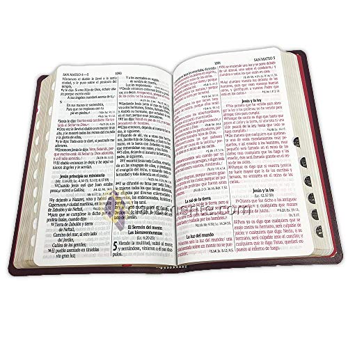 Biblia RVR60 - Concordancia, Letra Grande, palabras de Jesus en Rojo, ziper, indice, tapa en cuero reconstituido vino y canto dorado (Spanish Edition)