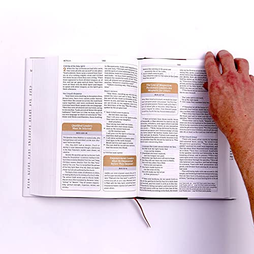 NIV, Maxwell Leadership Bible, 3rd Edition, Premium Bonded Leather, Burgundy, Comfort Print: Holy Bible, New International Version