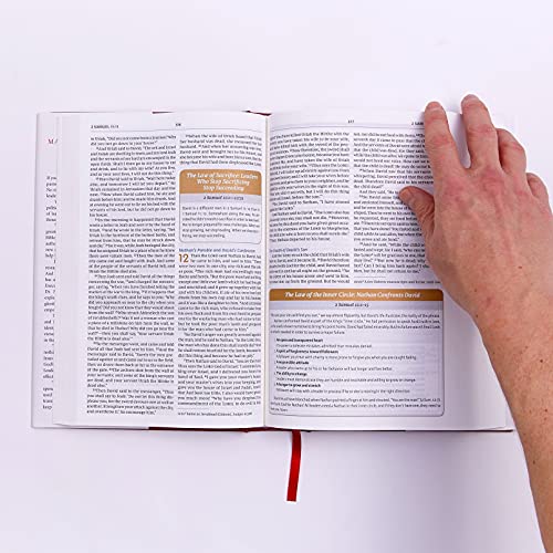 NIV, Maxwell Leadership Bible, 3rd Edition, Premium Bonded Leather, Burgundy, Comfort Print: Holy Bible, New International Version
