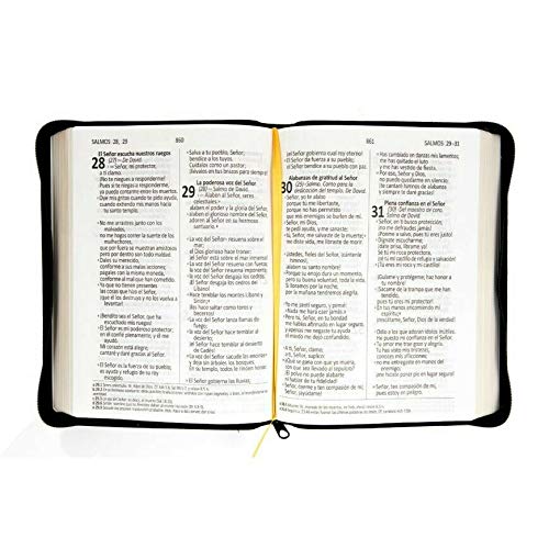 Biblia Dios Habla Hoy con Letra Gigante Imi Piel con Cierre con Libros Deuterocanonicos