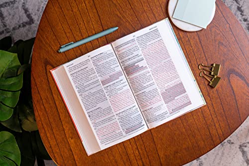 Holy Bible: Santa Biblia De Promesas Nvi Rosada / Spanish Promise Bible Niv Pink