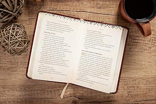 The Story of Jesus and His Love for You