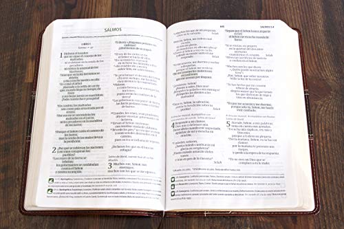 NVI Biblia del Pescador letra grande, caoba símil piel (Spanish Edition)