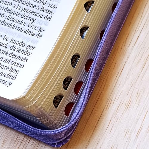 Biblia RVR60 - tamaño compacto con índice en la orilla y zipper, semi piel, negro
