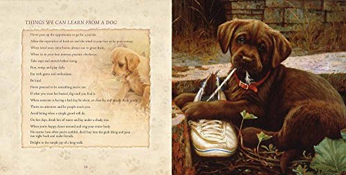 A Friend Like No Other: Life Lessons from the Dogs We Love