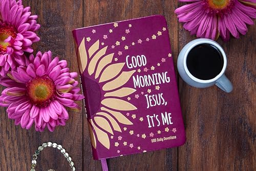 Good Morning Jesus It's Me: 365 Daily Devotions
