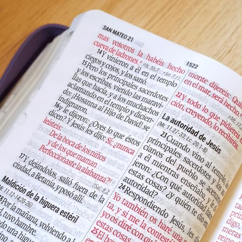 Biblia RVR60 - tamaño compacto con índice en la orilla y zipper, semi piel, negro