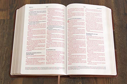 Biblia Peshitta. Símil piel, caoba duotono / Peshitta Bible. LeatherTouch, Mahogany DuoTone: Revisada Y Aumentada