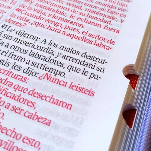 Biblia RVR60 - tamaño compacto con índice en la orilla y zipper, semi piel, negro