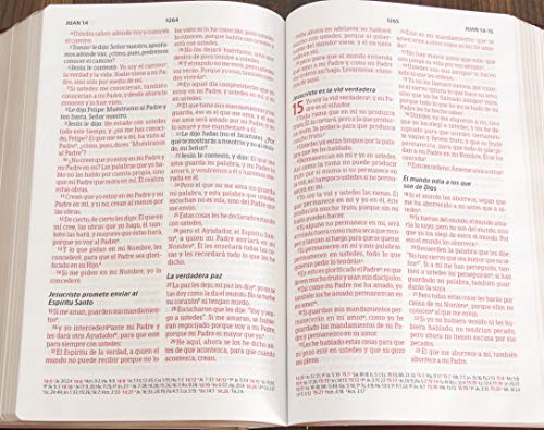 Biblia Peshitta. Tapa dura | Peshitta Bible, Hardcover: Revisada Y Aumentada