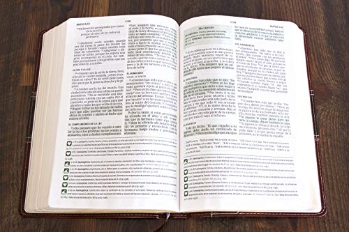 NVI Biblia del Pescador letra grande, caoba símil piel (Spanish Edition)